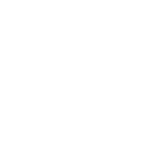 Project-Based Model